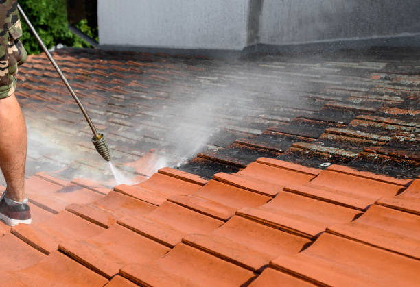 Best Pressure Washing Services for Businesses  in Valenti, NE